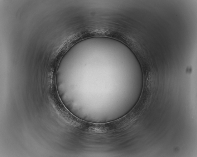 X0000115300739200911161657