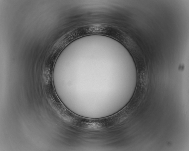 X0000115300741200911161657