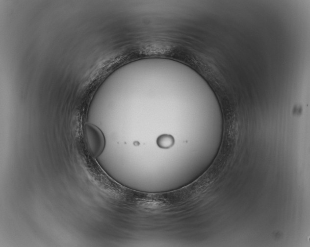 X0000115300743200911161657