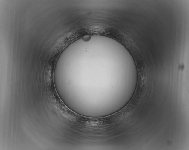 X0000115300745200911161657