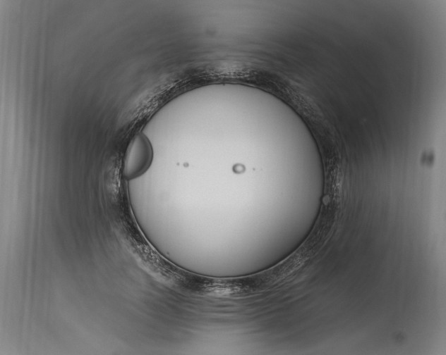 X0000115300746200911161657