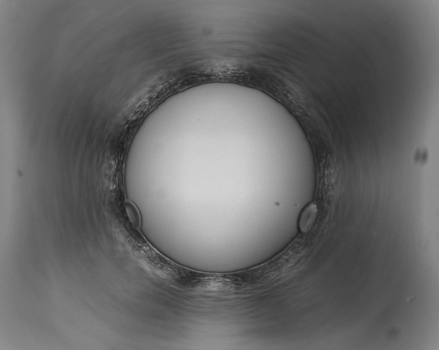 X0000115300750200911161657