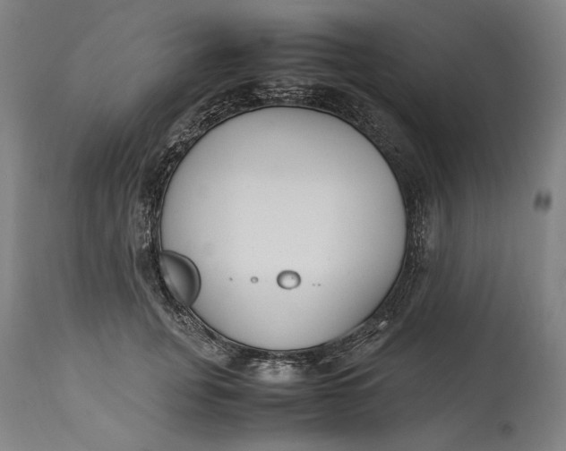 X0000115300751200911161657