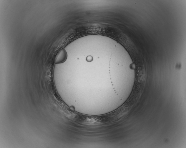 X0000115300753200911161657