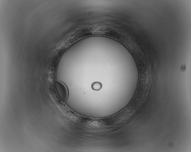 X0000115300755200911161657