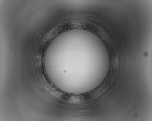 X0000115300757200911161657