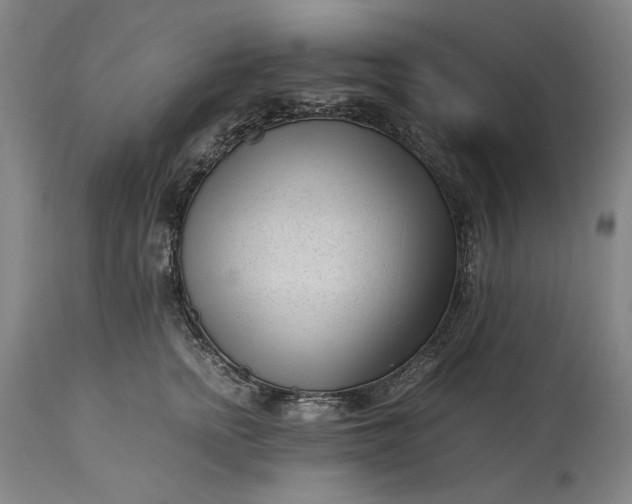 X0000115300758200911161657