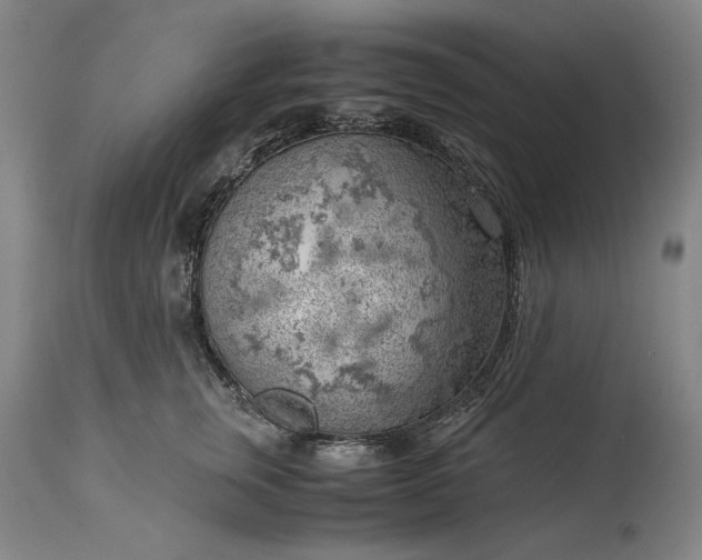 X0000115300759200911161657