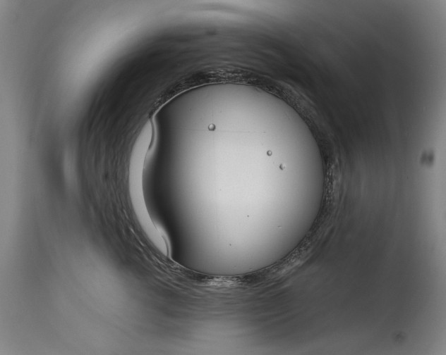 X0000115300762200911161657