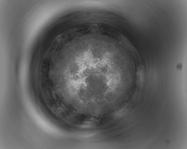 X0000115300765200911161657