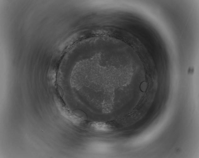 X0000115300767200911161657