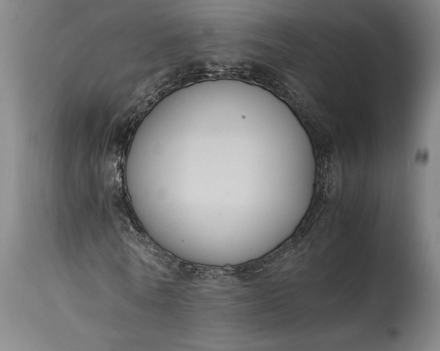 X0000115300770200911161657