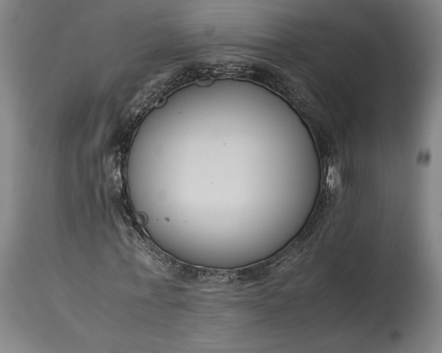 X0000115300771200911161657