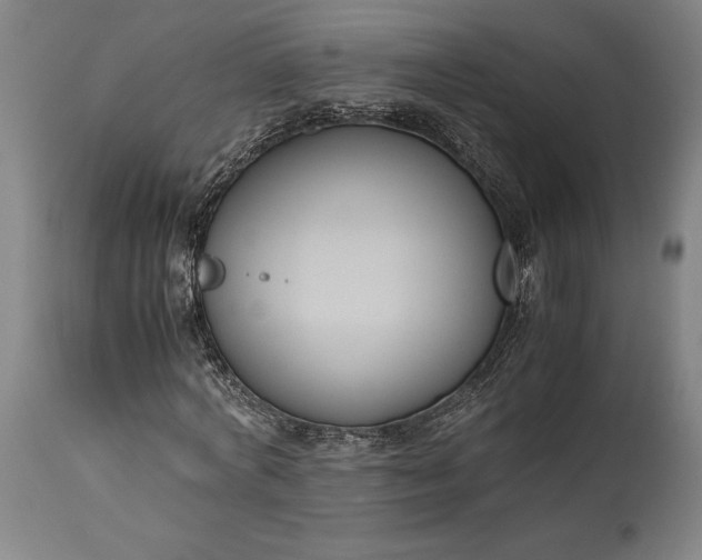 X0000115300772200911161657