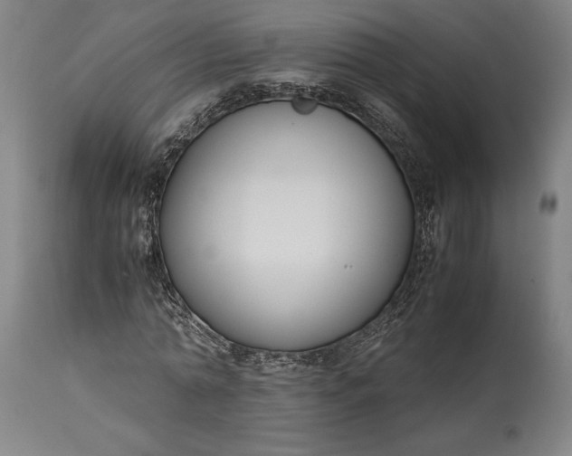 X0000115300774200911161657