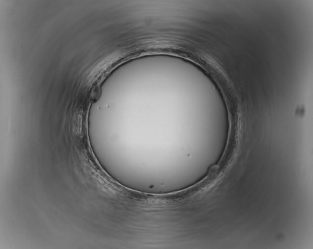 X0000115300777200911161656