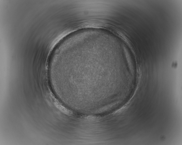 X0000115300779200911161656