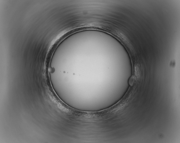 X0000115300780200911161656