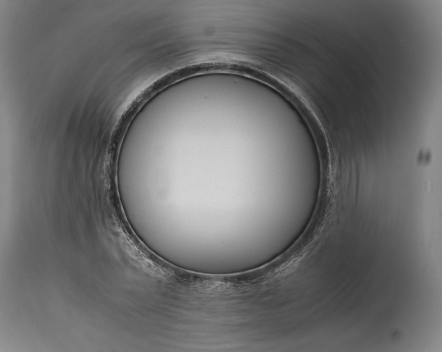 X0000115300783200911161656