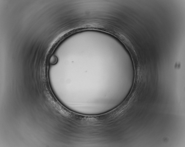 X0000115300784200911161656