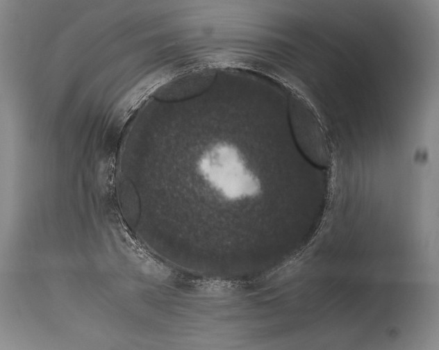 X0000115300785200911161656