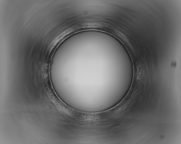 X0000115300786200911161656