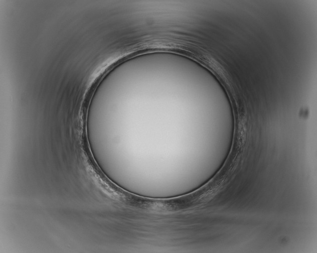 X0000115300787200911161656