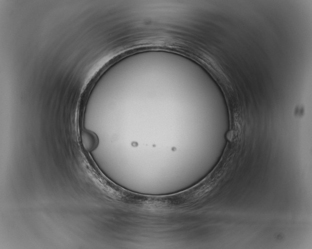 X0000115300788200911161656