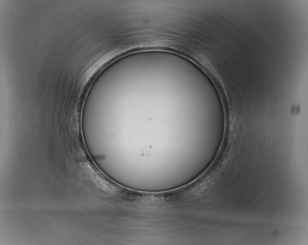 X0000115300789200911161656