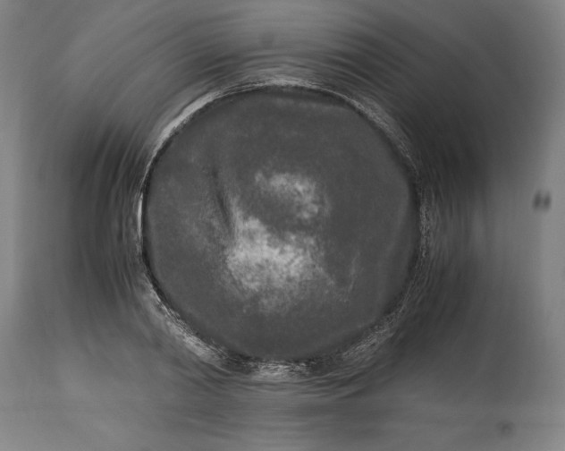 X0000115300790200911161656