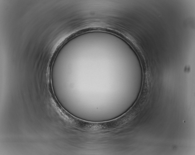 X0000115300791200911161656