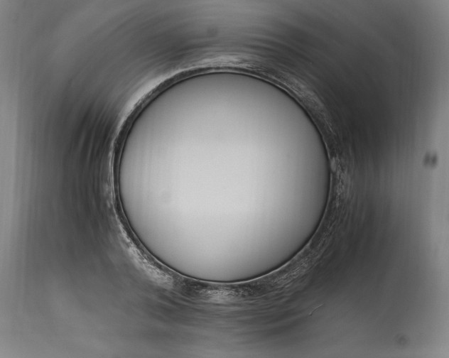 X0000115300792200911161656