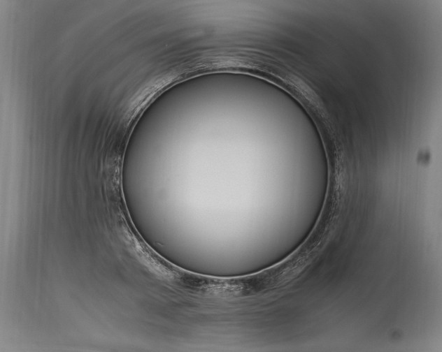 X0000115300793200911161656