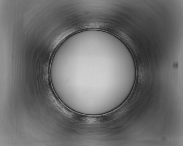 X0000115300794200911161656