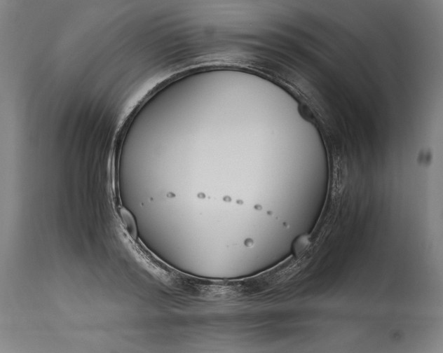 X0000115300796200911161656