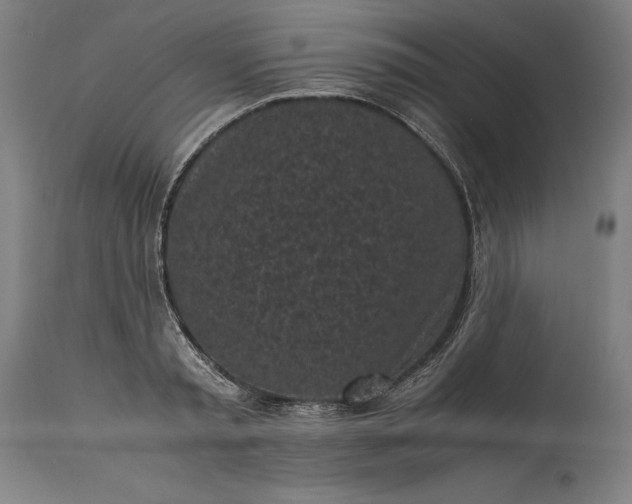 X0000115300797200911161656