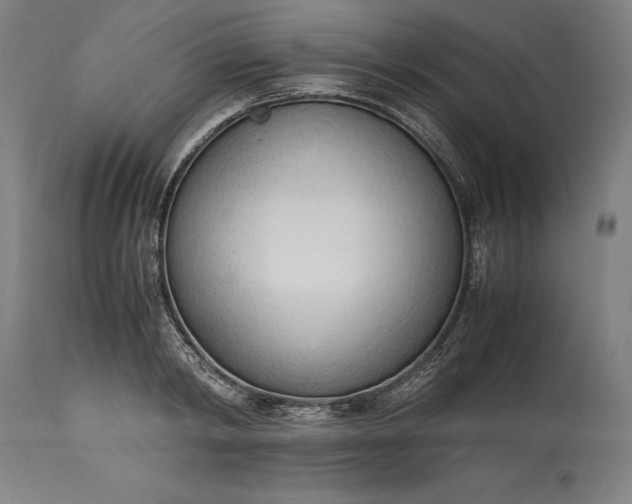 X0000115300798200911161656