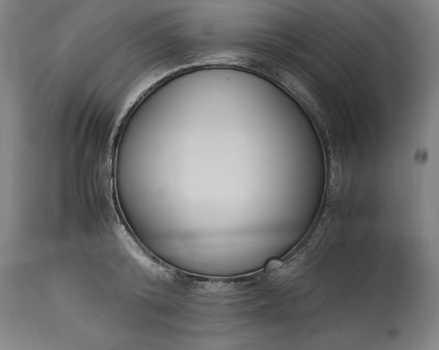 X0000115300800200911161656