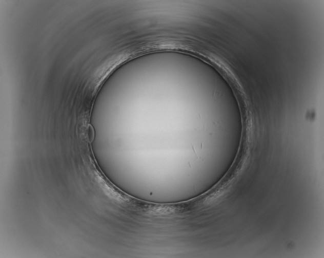 X0000115300801200911161656