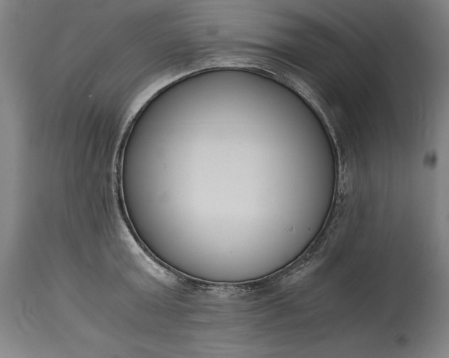 X0000115300803200911161656