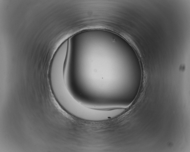 X0000115300805200911161656