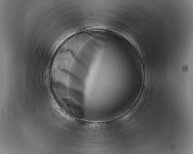 X0000115300806200911161656