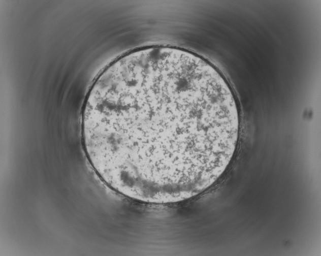 X0000115300807200911161656