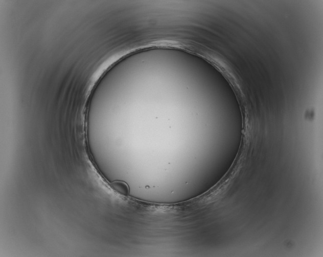 X0000115300808200911161656