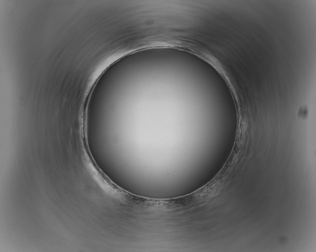 X0000115300811200911161656