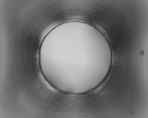 X0000115300812200911161656