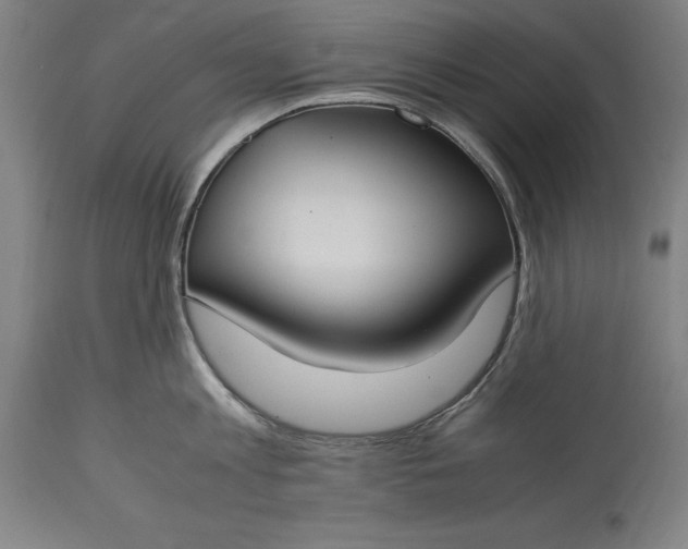 X0000115300813200911161656