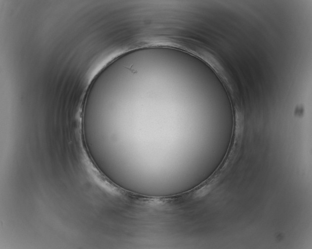 X0000115300814200911161656