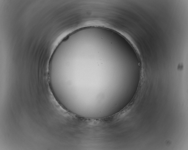 X0000115300815200911161656