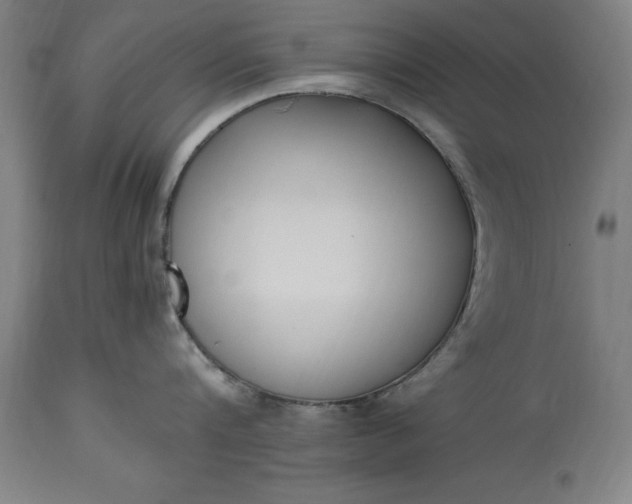 X0000115300816200911161656